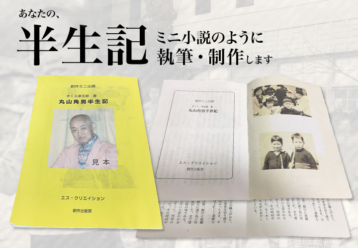 半生記